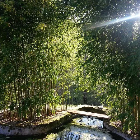 住宿加早餐酒店 Moulin Lou Apmay 3*