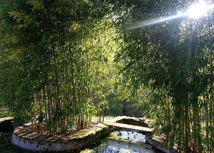 B&B Moulin Lou Apmay 3*